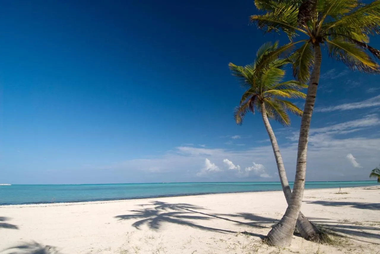 Beach Residency B2 Walk To The Beach Grocery Dining Free Wifi Lejlighed Punta Cana Den Dominikanske Republik